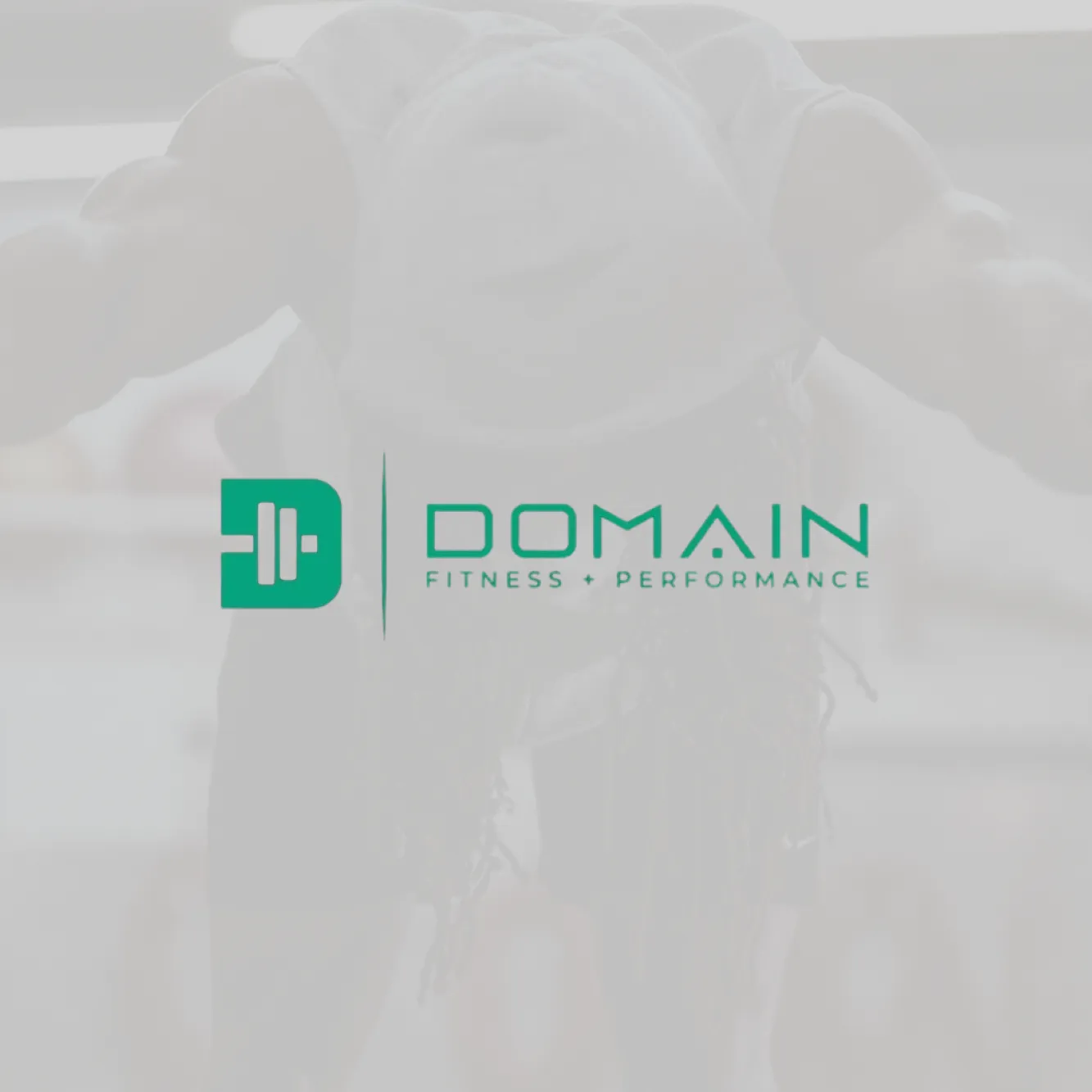 Domain Fitness and Performance